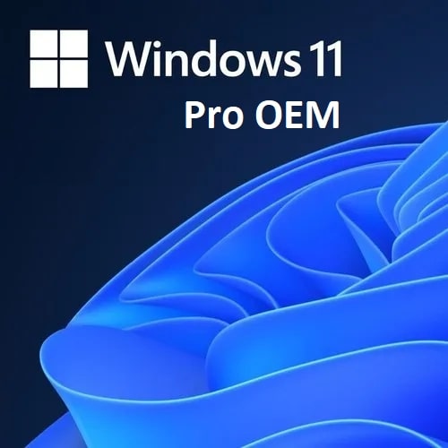 Windows 11 Pro OEM - Çözüm Bilgisayar Aliağa